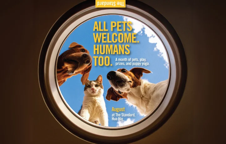 Furry Stars Wanted: August is Pet Month at The Standard, Hua Hin!