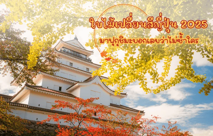 ใบไม้เปลี่ยนสีญี่ปุ่น 2025 นี้ มาฟุกุชิมะสิบอกเลยว่าไม่ซ้ำใคร