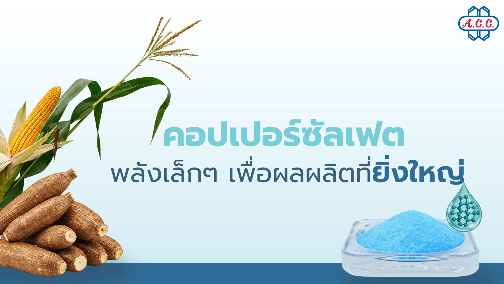 รู้จัก "คอปเปอร์ซัลเฟต" นวัตกรรมจัดการโรคพืชและเพิ่มผลผลิตทางการเกษตร ยกระดับพืชเศรษฐกิจไทยให้มีคุณภาพ