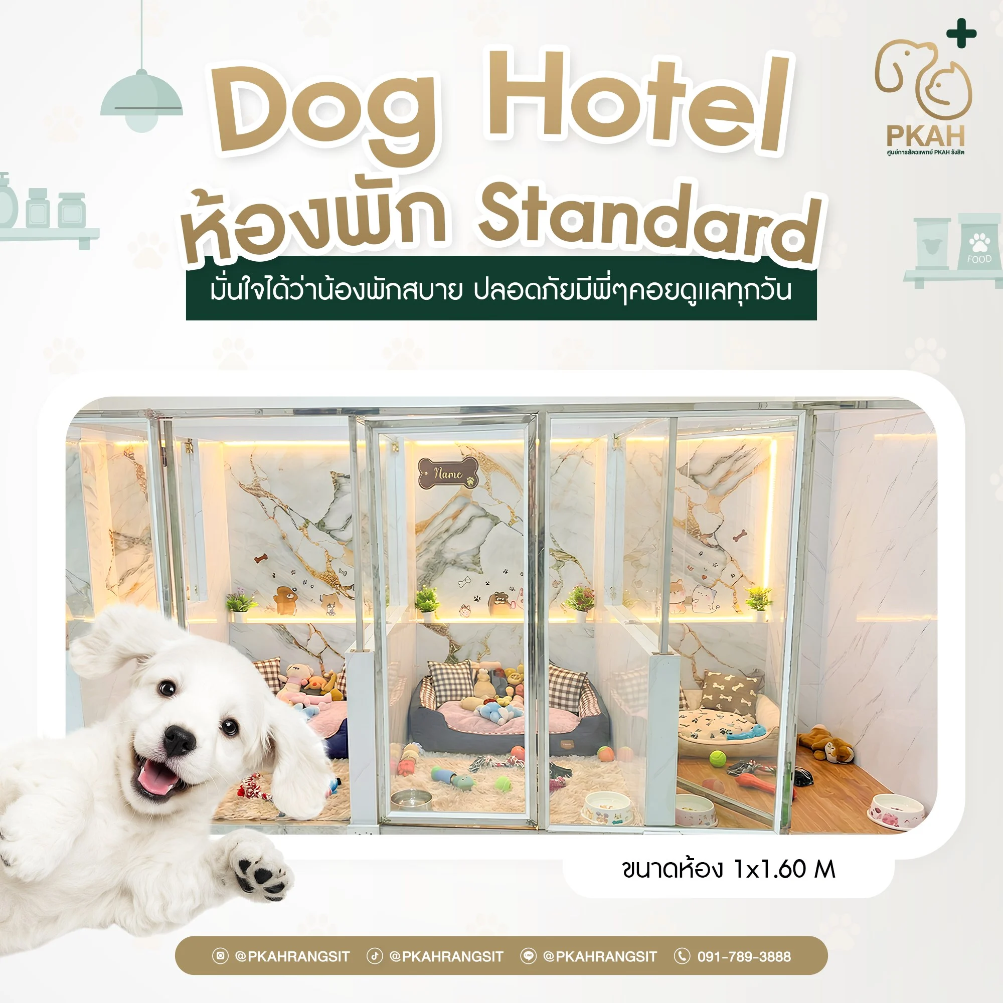 บริการรับฝากเลี้ยง และห้องพักพิเศษ (Pet Hotel) - ศูนย์การสัตวแพทย์ PKAH รังสิต