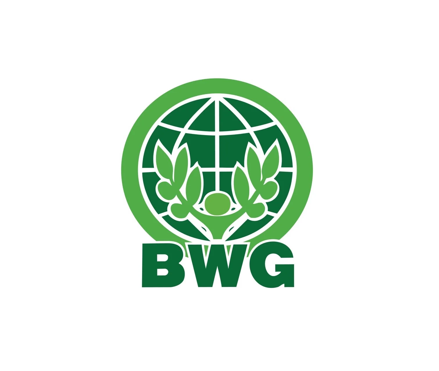 BWG โชว์ฟอร์มแกร่ง! กำไร Q3/68 พุ่งทะลุ 2,039% หนุน 9 เดือนโต 454% รับกำไรพิเศษ-ธุรกิจหลักเติบโต